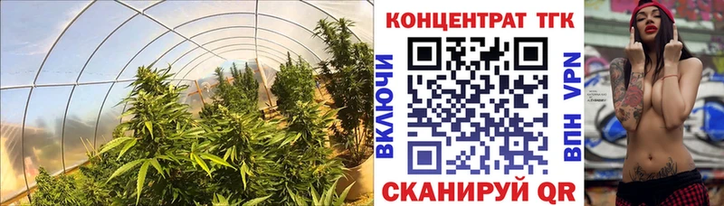 даркнет сайт  Шлиссельбург  Дистиллят ТГК Wax 